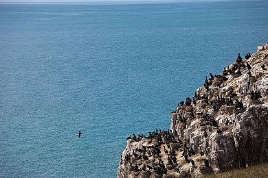 除了《黑豹》，传EA还在开发《钢铁侠》单机游戏